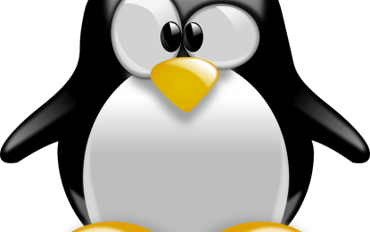Grave falla nel Kernel Linux: controllare gli aggiornamenti