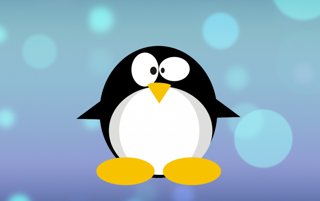 Linux Sudo