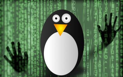 Attacchi DNS poisoning sfruttano un bug di Linux del 2008