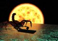 Imperva: quasi la metà dei database online sono vulnerabili