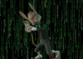 White Rabbit: il nuovo ransomware è legato a FIN8?