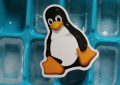 Spectre: un nuovo exploit colpisce i sistemi Linux