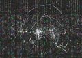 Leak Oracle Cloud: numerose compagnie confermano il furto di dati